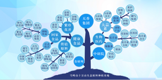 市委常委、組織部部長、統戰部部長龔紅果蒞臨天香生物調研